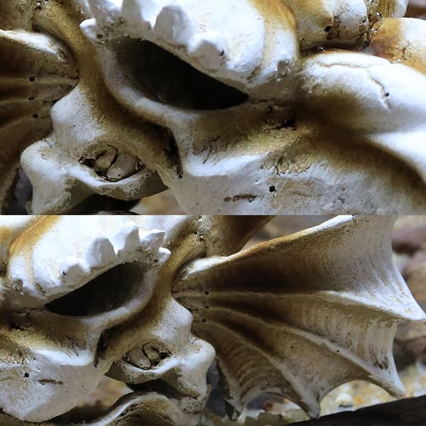 Simulation Resin Skull Ornaments DIY Aquarium Decoration 20*10.5*11 cm