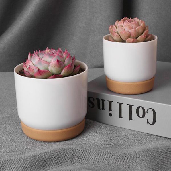 Succulent Pot Kaksikerroksinen mehevä vihreä tilli Pieni vihreä Fl as the picutre S