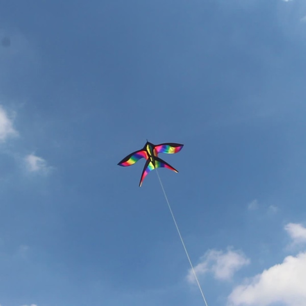 Rainbow Bird Kite med håndtak Line Nylon Stoff Swallow Kite