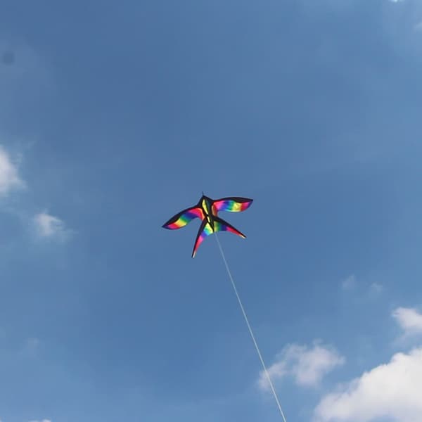 Rainbow Bird nylon , joissa on nylonkankaasta valmistettu swallow Kit