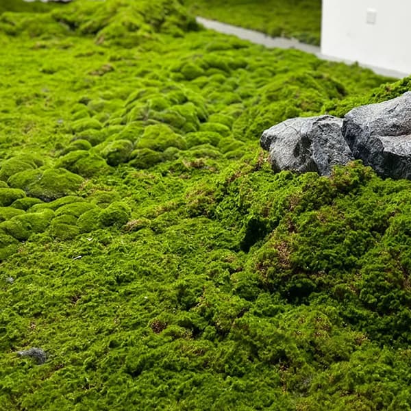 Konstgjord Moss Landskap Bionic Gräsmatta Falsk Moss Micro Landskap Green A2