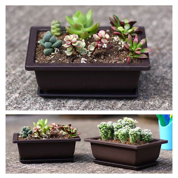 Imitert plast Balkong Firkantede Potter Blomst Bonsai Bowl Nurser as the picutre A4