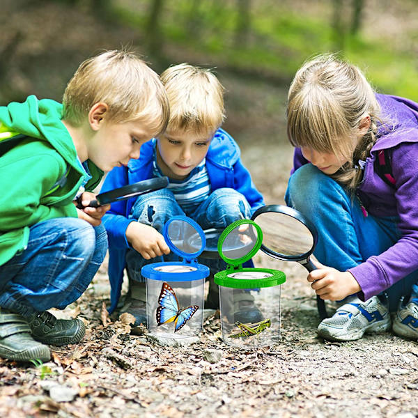 Sylinterimäinen suurennuslasi Hyönteisten tarkkailukuppi Hyönteisten tarkkailija one size