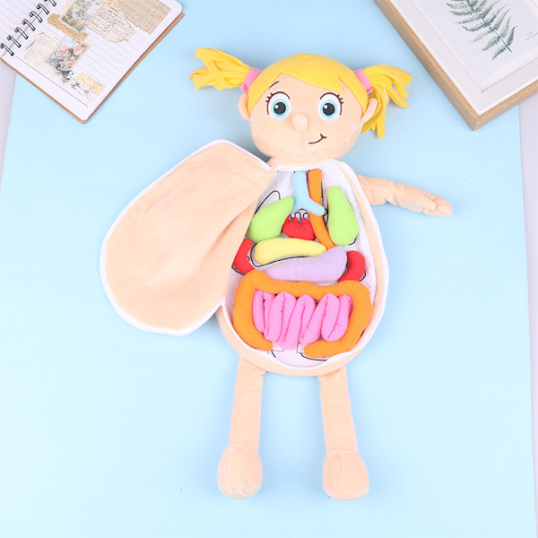 Kid Montessori Toys 3D-pulma-nukke Body Body Opetusvälineet