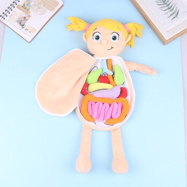 Kid Montessori Toys 3D Puslespill dukke Kroppsorgan Læremidler