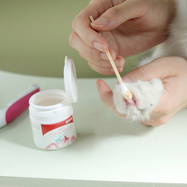 Pet Styptic Stop Bloeding Powder Dog Cat Traumaattinen hemostaattinen