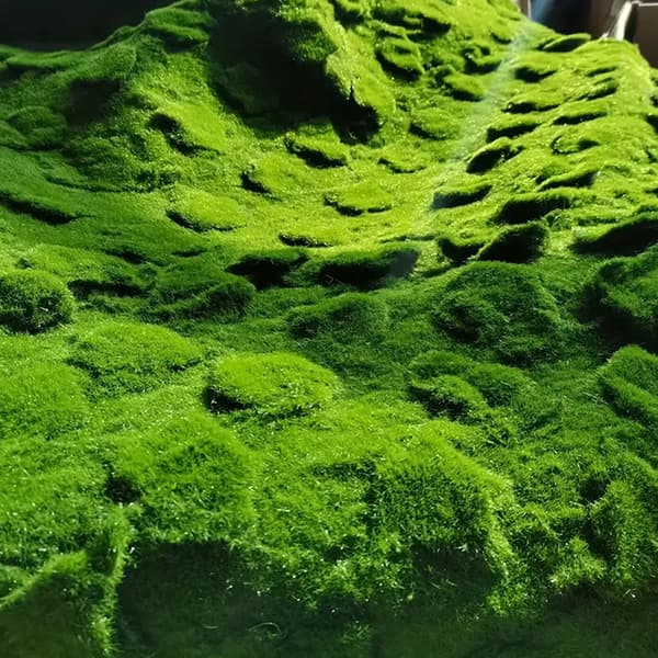 Konstgjord Moss Landskap Bionic Gräsmatta Falsk Moss Micro Landskap Green A2