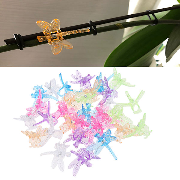 30 stk Dragonfly Orchid Clips Grower Support Clips