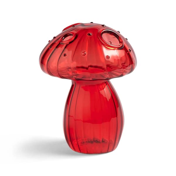 Soppglassvase Aromaterapiflaske Hydroponisk blomsterbord D