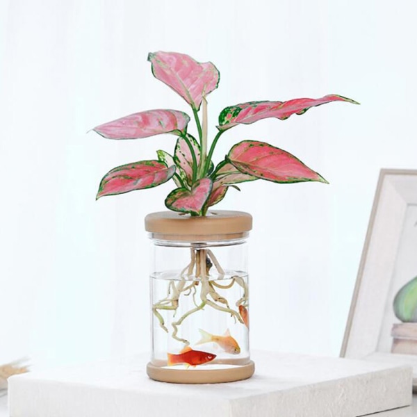 Lazy Transparent Flowerpot Hydroponic Automatic Water Absorptio as the picutre B