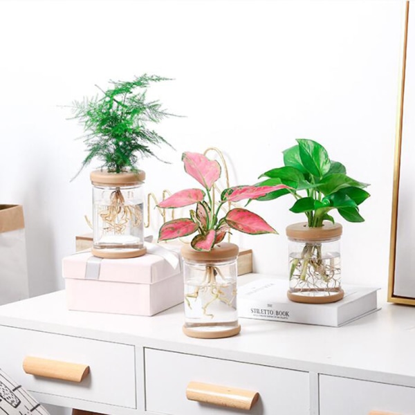 Lazy Transparent Flowerpot Hydroponic Automatic Water Absorptio as the picutre B