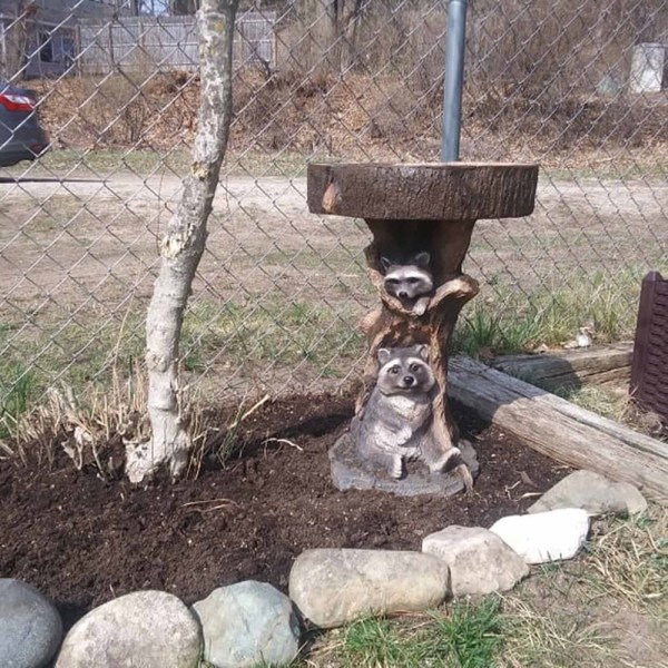 Raccoon Birdbath Polyresin Trädgårdsfågelbad för Hemträdgård Yar