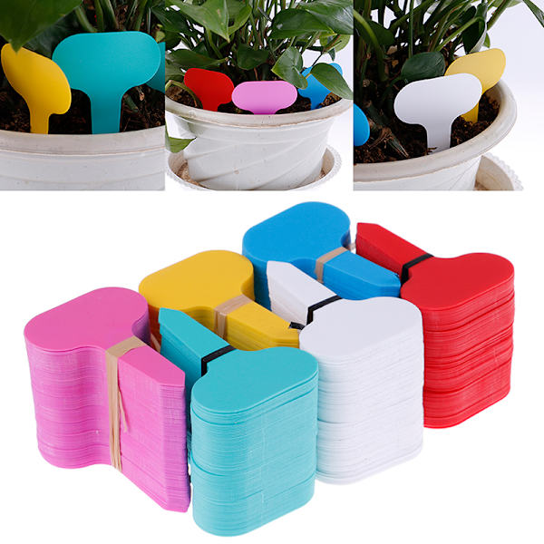 100kpl 5*7cm muoviset t-tyyppiset tarramerkit lastentarhan nurmikko la White