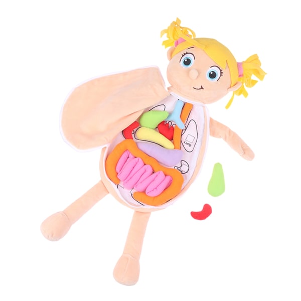 Kid Montessori Toys 3D Puslespill dukke Kroppsorgan Læremidler