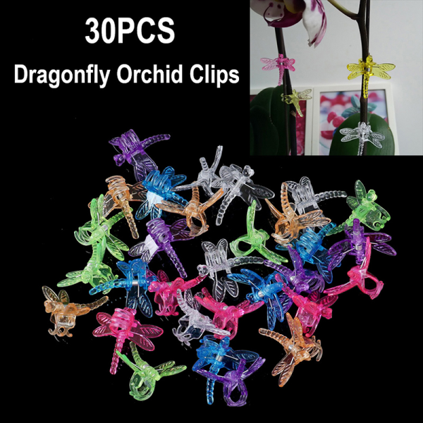 30 stk Dragonfly Orchid Clips Grower Support Clips