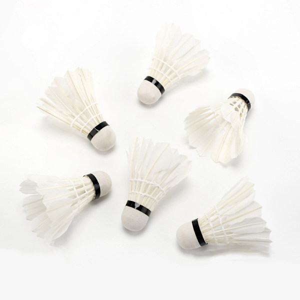 12 Professionelle Badmintonbolde white