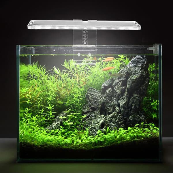 Akvariumlampe LED-lys Passer til tanker Aquatic Lamp Aquarium Brack B
