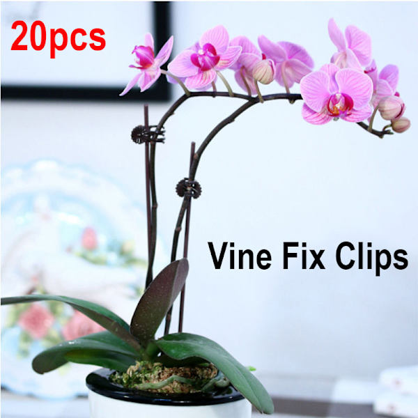 20 stk Støtteclips Haveclips Blomst Orkidé Stængel Clips Vine as the picutre