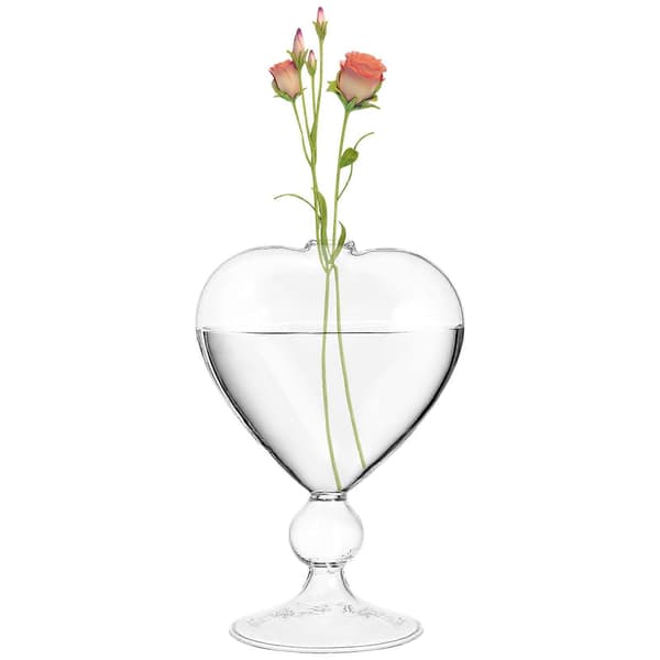 Växtvas i glas, hjärtformad hydroponisk blomhållare