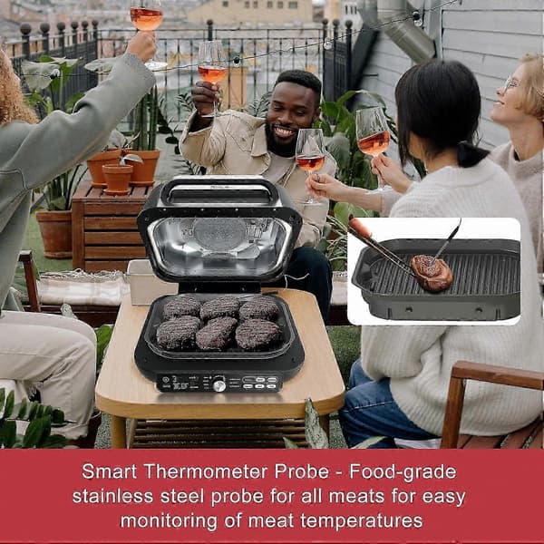 Ninja Smart Grill Kødtermometer Erstatning til FG550 FG551 IG651 LG450CCO, Rustfrit Stål Termometer