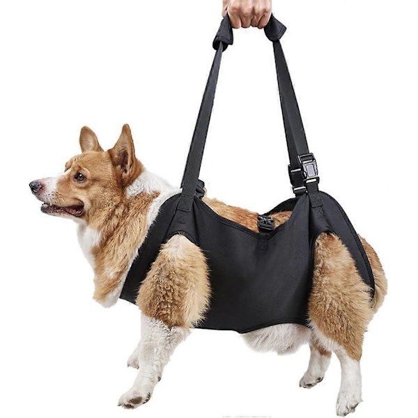 Løfteharness for hund, justerbart mobilitetshjelpemiddel for gående kjæledyr for aldrende hunder, funksjonshemmede hunder med svake føtter S