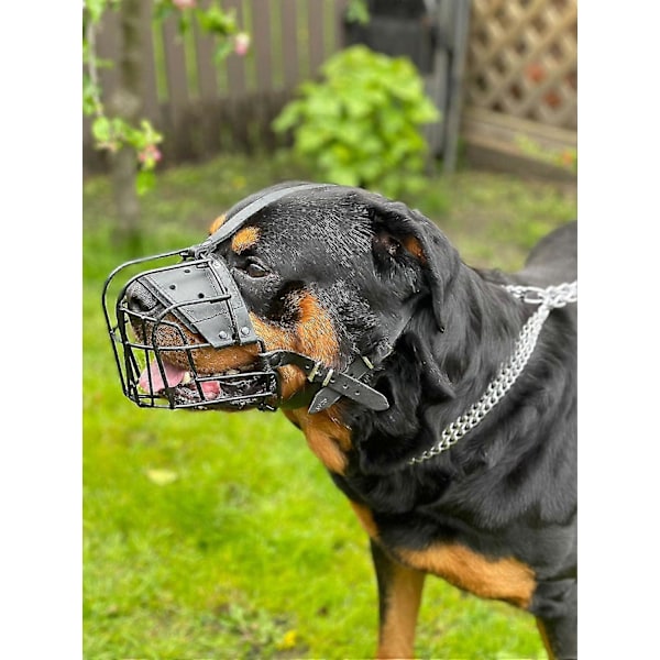 STÆRK Tråd Metal mundkurv Kurv Hund Mundkurv Rottweiler, Mastiff Golden Retriever & andre (R1, Sort/Sort Læder)