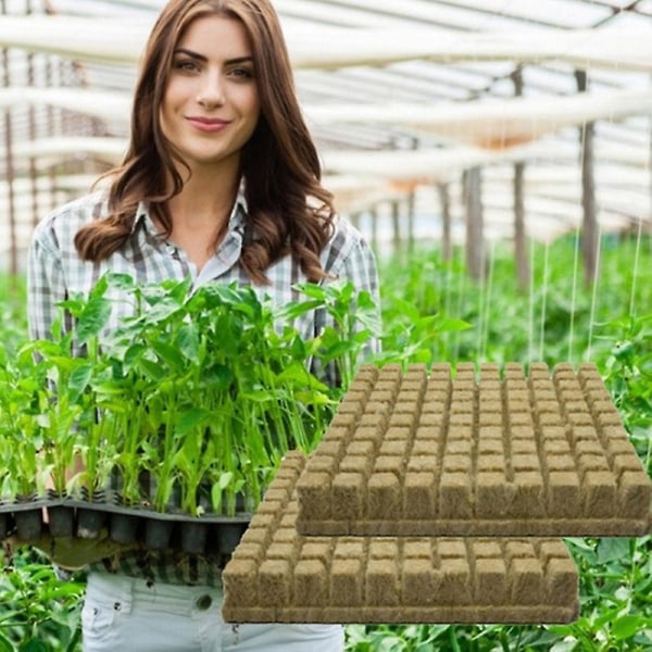 50st Ventilativ Hydroponic Grow Agricultural Media Komprimera kuber