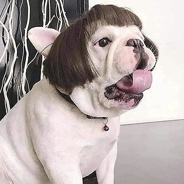 Hundperuk HSLUS Djurperuk Rolig Cosplay Kostym SLIM Rekvisita Festtillbehör Halloween Jul, Rakt Hår