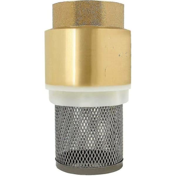Tilbageløbsventil med si 1/2\", 3/4\", 1\", 2 tommer - kontraventil, kontraventil til pumpe (1 tomme)