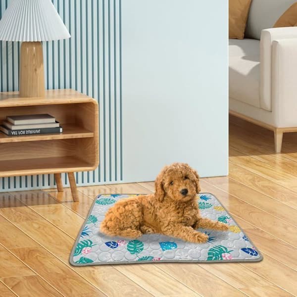 Kølemåtte til hunde og katte, iskølemåtte til hunde, kølemåtter til hunde, L (70 x 55 cm)