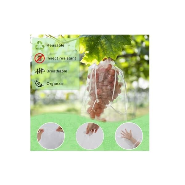 Fruktskyddspåsar - Organza - 100 påsar - 30cm x 20cm - Transparent