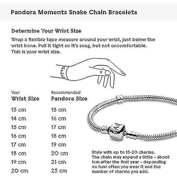 Pandora Moments naisten sterlinghopeinen charmikoruranneke 19 cm