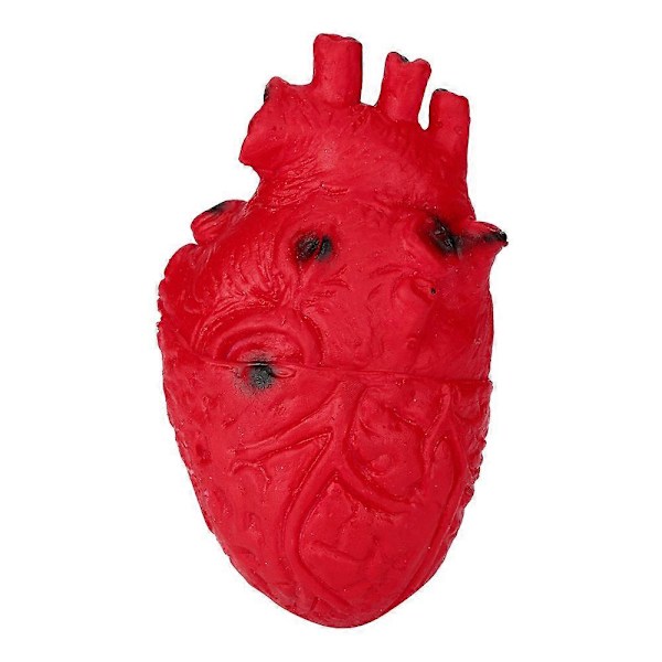 Nyhet Silikon Stressball Skummelt Organ Hjerte Klemleke Stressreduserende Leke Red