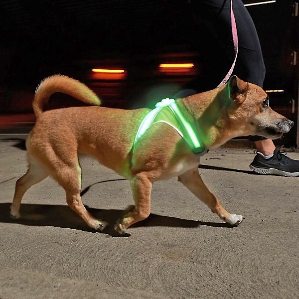 Noxgear Lighthound 360 synlighet flerfärgad reflekterande LED-hundsele