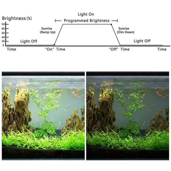 Akvarium LED Lys Dæmper Controller Solopgang Modulator til Dæmpningssystem