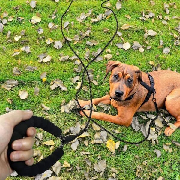 Hundkoppel - PZCC - 5m längd - Slitstark nylon - Vadderat handtag - Reflexsömmar