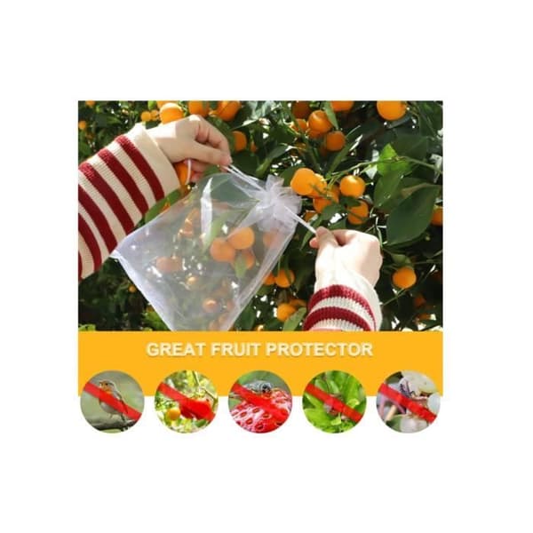 Fruktskyddspåsar - Organza - 100 påsar - 30cm x 20cm - Transparent