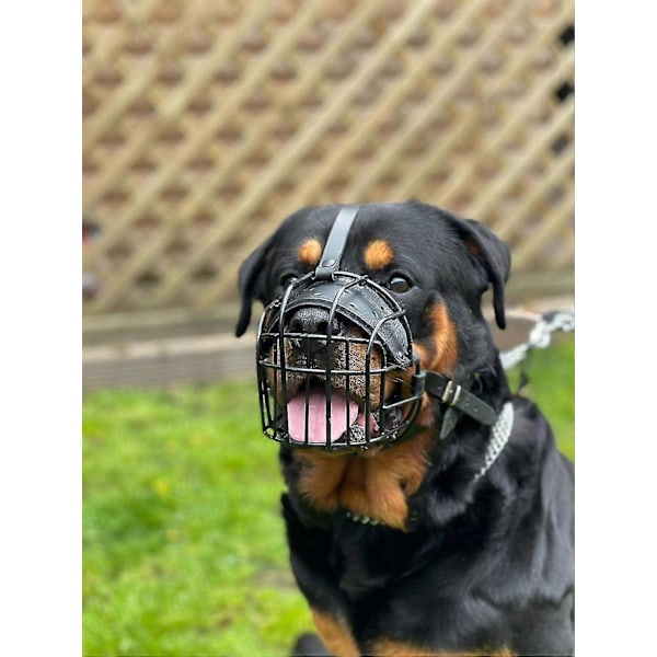 STÆRK Tråd Metal mundkurv Kurv Hund Mundkurv Rottweiler, Mastiff Golden Retriever & andre (R1, Sort/Sort Læder)