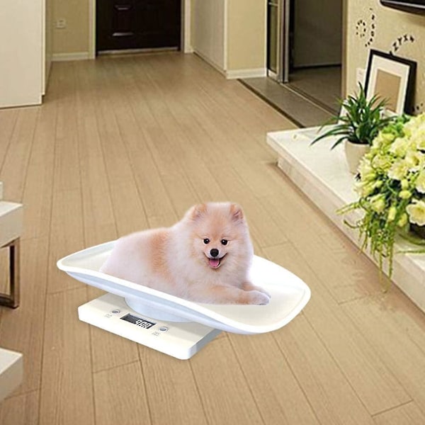 10 kg pet scale digital scale to measure the growth of babies