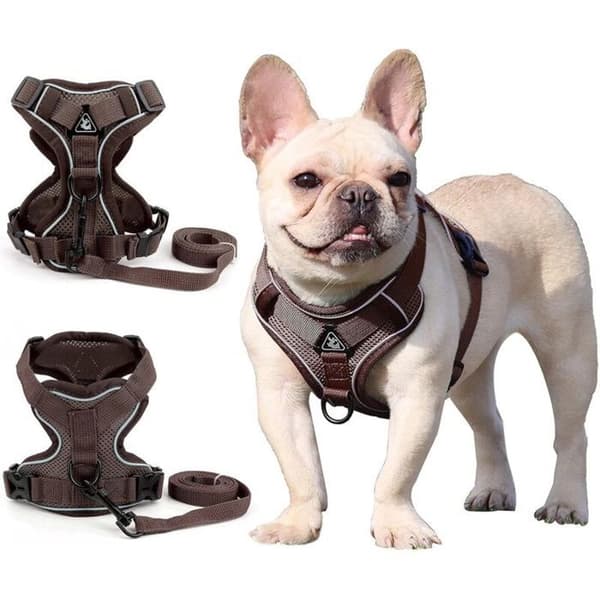 Sele til små og mellemstore hunde (brun, medium) - Fei Yu