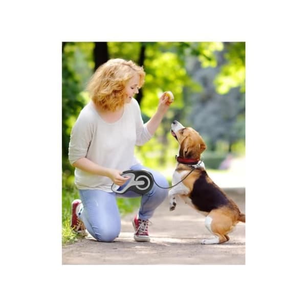 Flexi Rulleline - New Classic - 5m - Til hunde op til 20 kg - Sort Nylon