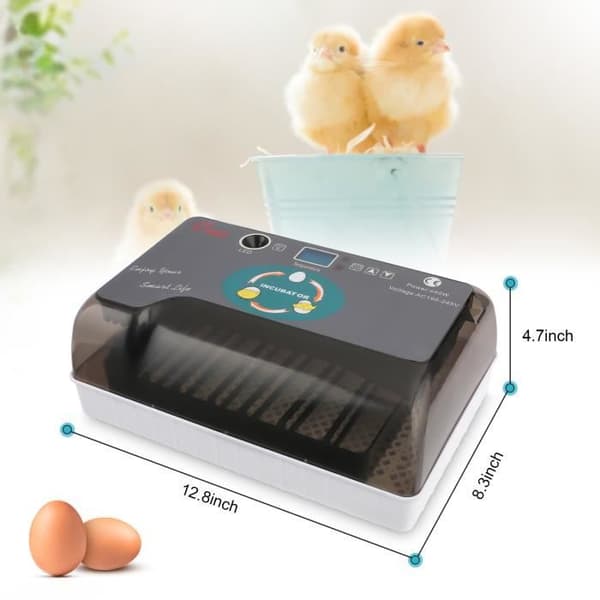 Automatisk 12-Egg Fjærkreinkubator med Smart Digital Kontroll - Temperaturkontroll - Grå