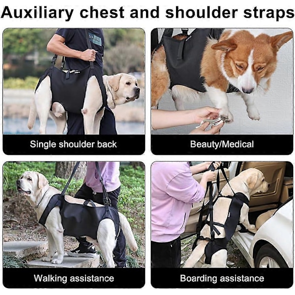 Løfteharness for hund, justerbart mobilitetshjelpemiddel for gående kjæledyr for aldrende hunder, funksjonshemmede hunder med svake føtter S