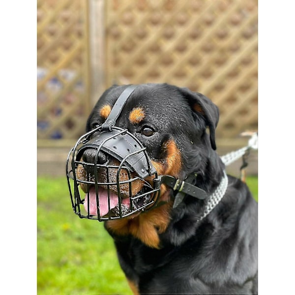 STÆRK Tråd Metal mundkurv Kurv Hund Mundkurv Rottweiler, Mastiff Golden Retriever & andre (R1, Sort/Sort Læder)