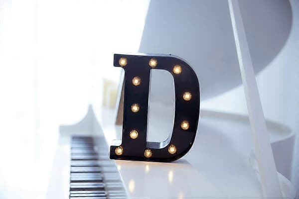 Sort LED Bogstav D Dekorativt Lys til Begivenheder, Hjem og Fester