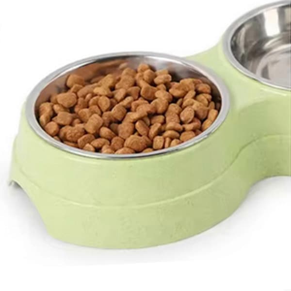 Dobbelt kæledyrsskåle Vandføder Rustfrit Stål Kæledyrsdrikkeskål Foder Kat Hvalpefoder Forsyninger Hundetilbehør Blå Green