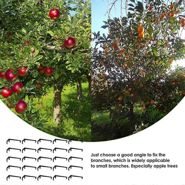 [KK] 50 Pieces Tree Branch Spreader, Tree Branch Support Frame for Strong Branches on Apples and Other Fruit Trees
