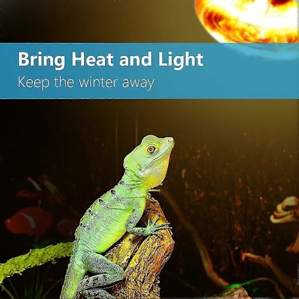 2-pack Reptil UVB UVA Värmelampa Glödlampa För Verklighetstroget Ljusstark Värme För , Amfibie Och (100 W)（CA)