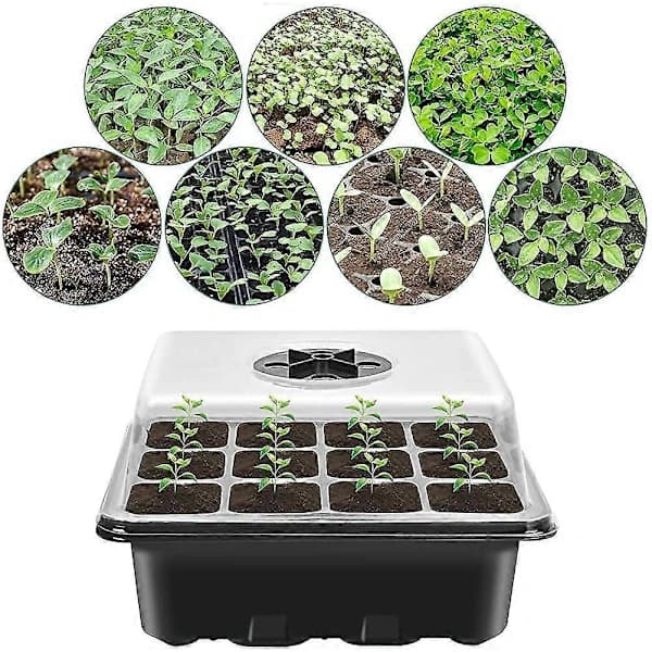 [CA] Sæt med 2 plantebakker med 3 haveredskaber, plantebakke, minidrivhus til