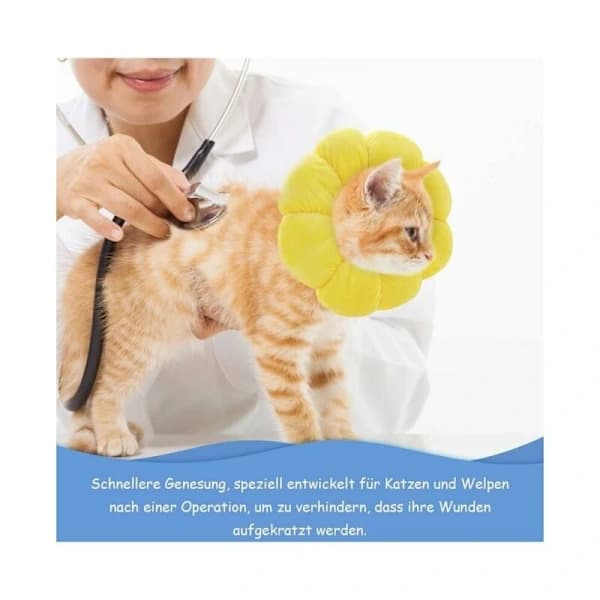 Recovery Collar efter operation för husdjur - Justerbar storlek 17-27 cm